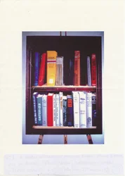 小さなアメリカ図書館、1985